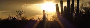 Tucson Arizona desert sunshine image