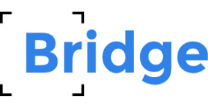 blue bridge logo image