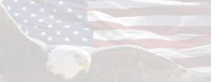 american flag and eagle image