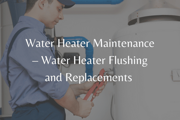 Water Heater Maintenance blog image